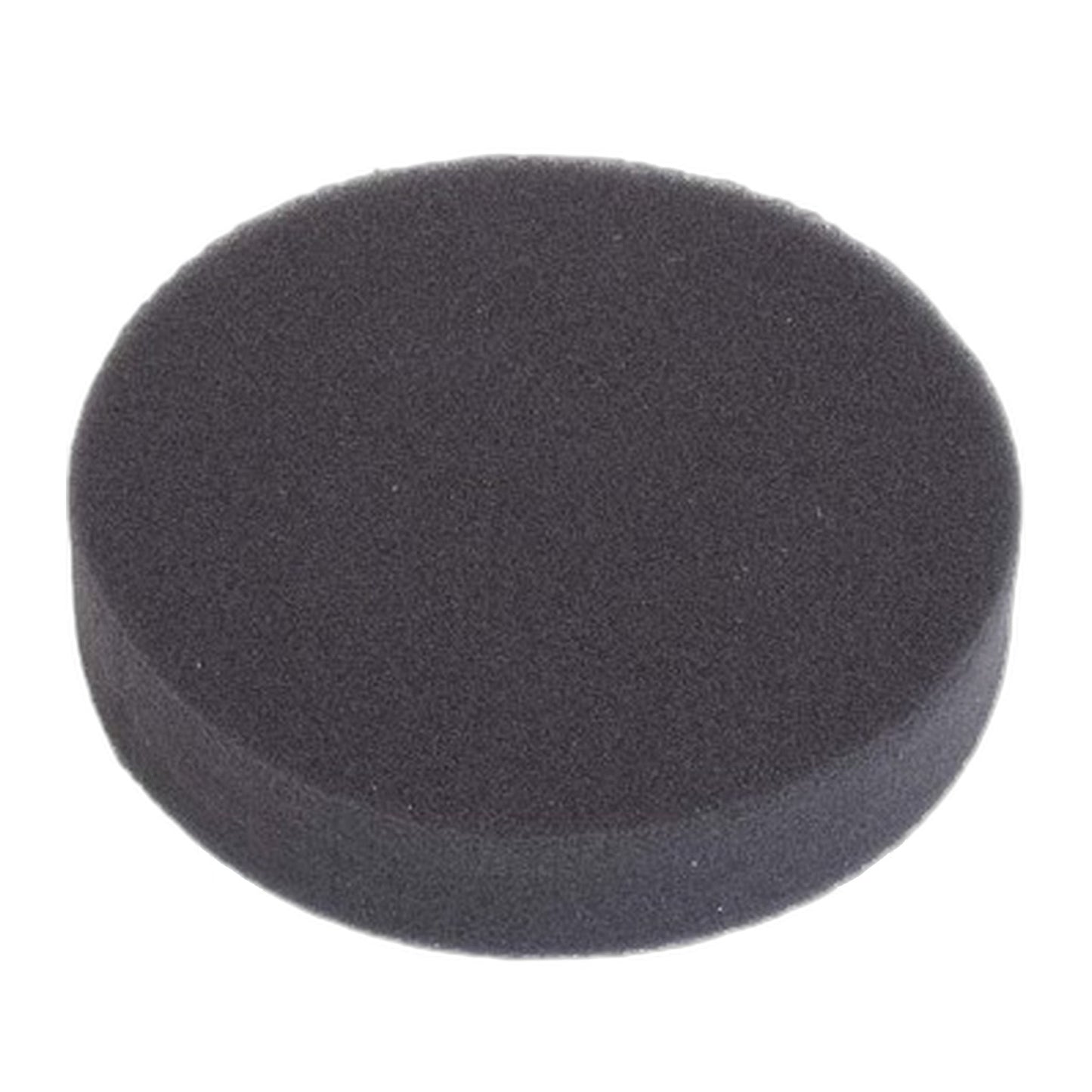 Bissell Febreze Pre-Motor Filter for 1650 Series Pet Hair Eraser