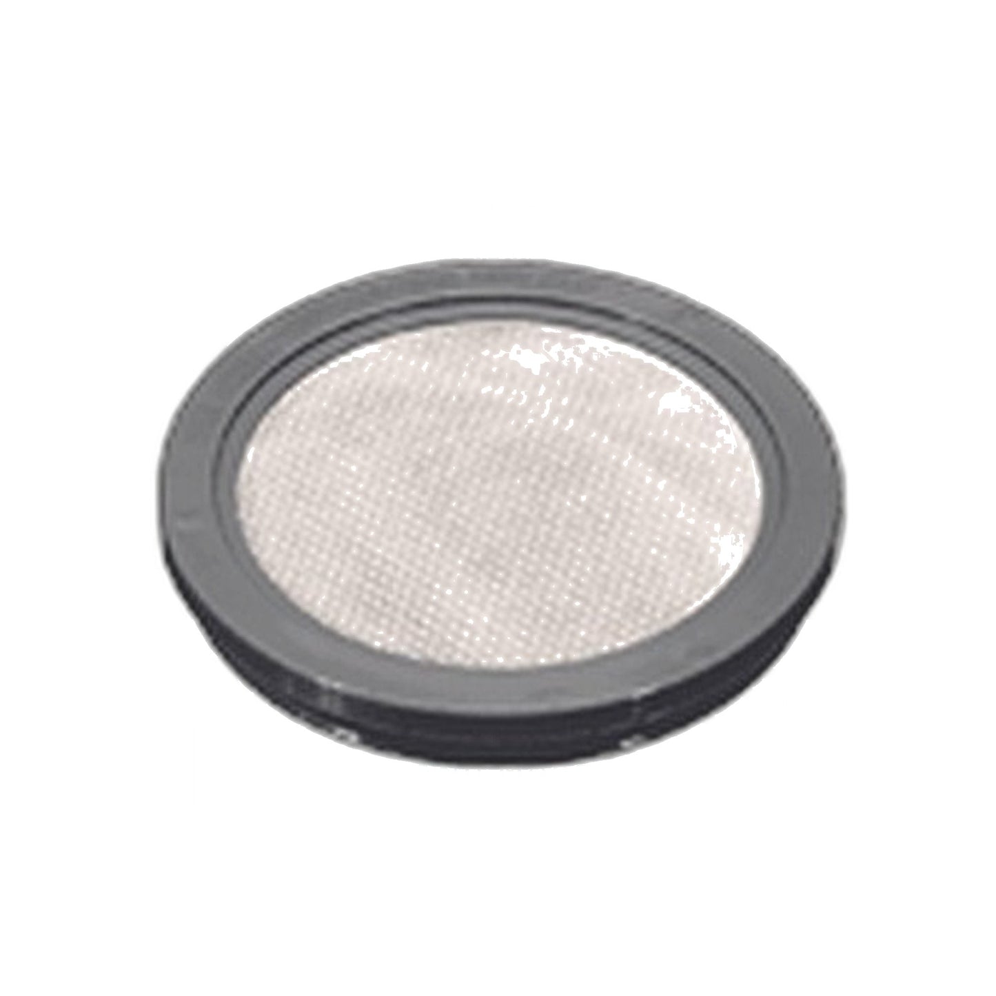Bissell Go-Vac Vacuum Filter, 2-Pack Replacement Filters