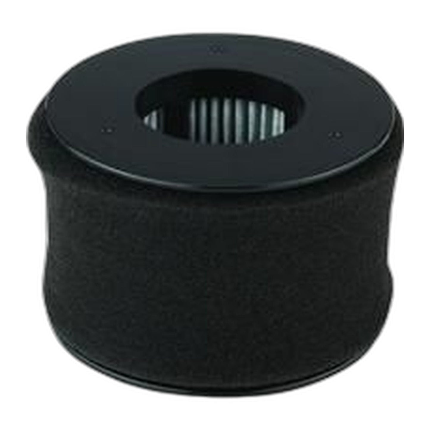 Bissell 81L2 PowerEdge Filter Set, 2-Pack (Pleated + Foam)