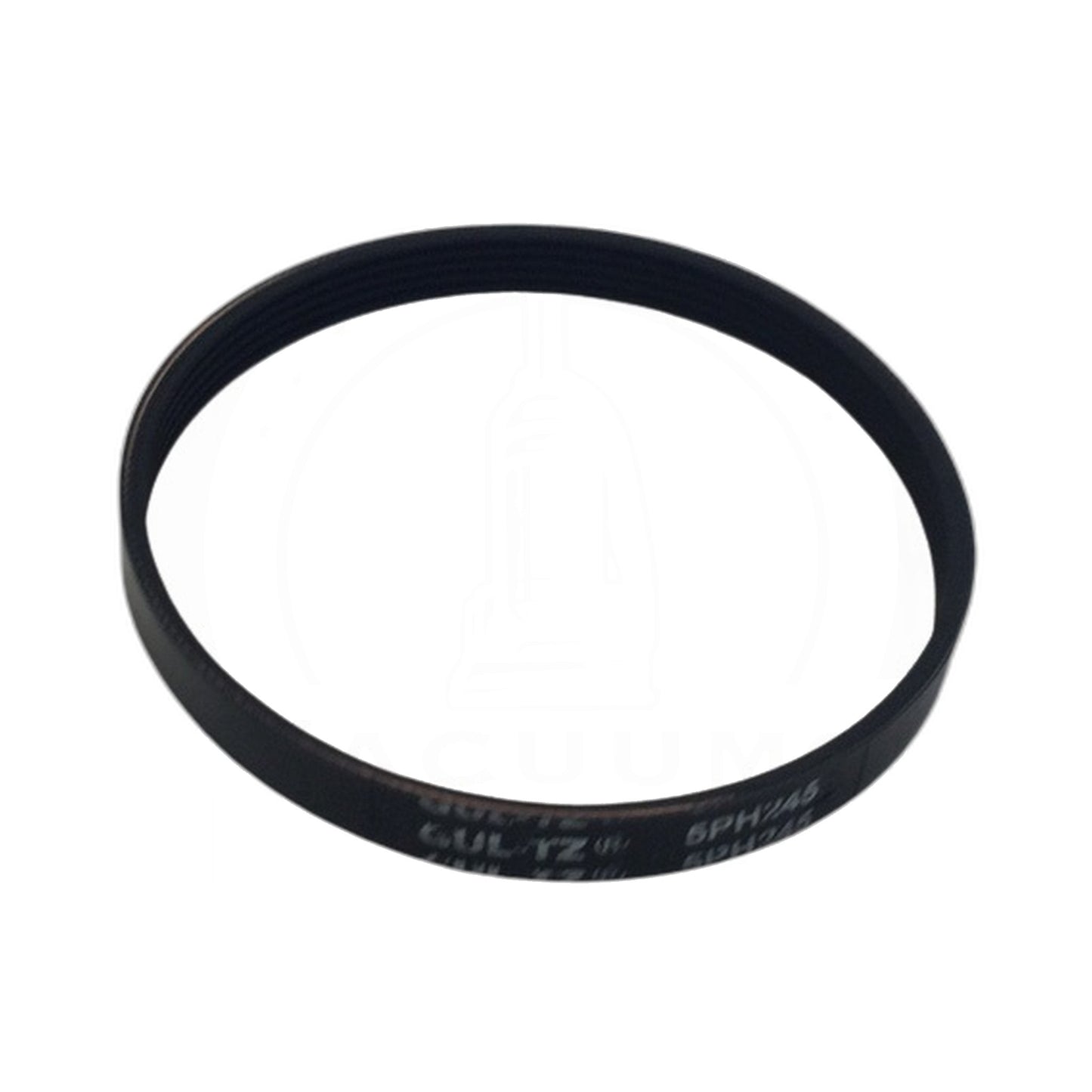 Clean Obsessed CO101 / Perfect DM101 Serpentine Power Nozzle Belt