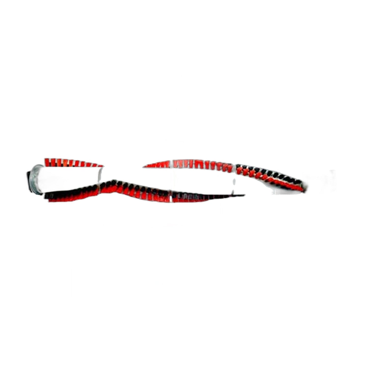 Royal/Dirt Devil Brush Roll for RY800 Upright Vacuum