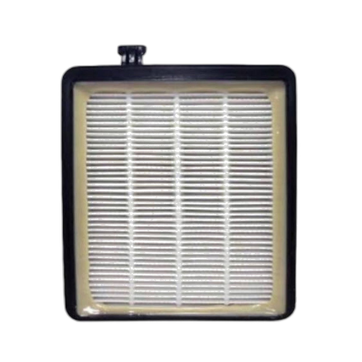 Royal F45 Pleated Filter for Royal Vacuum Cleaners