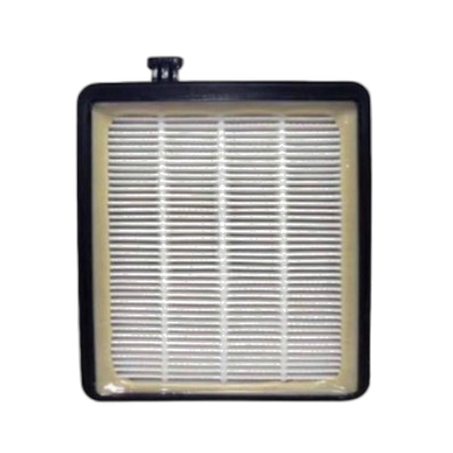 Royal F45 Pleated Filter for Royal Vacuum Cleaners