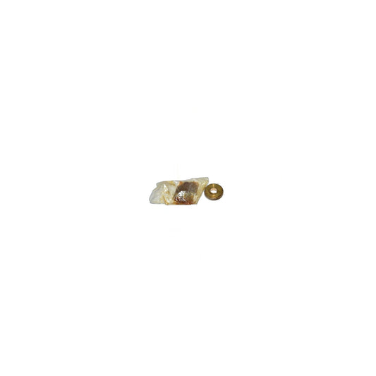 Koblenz Shampooer/Polisher LH Bronze Gear