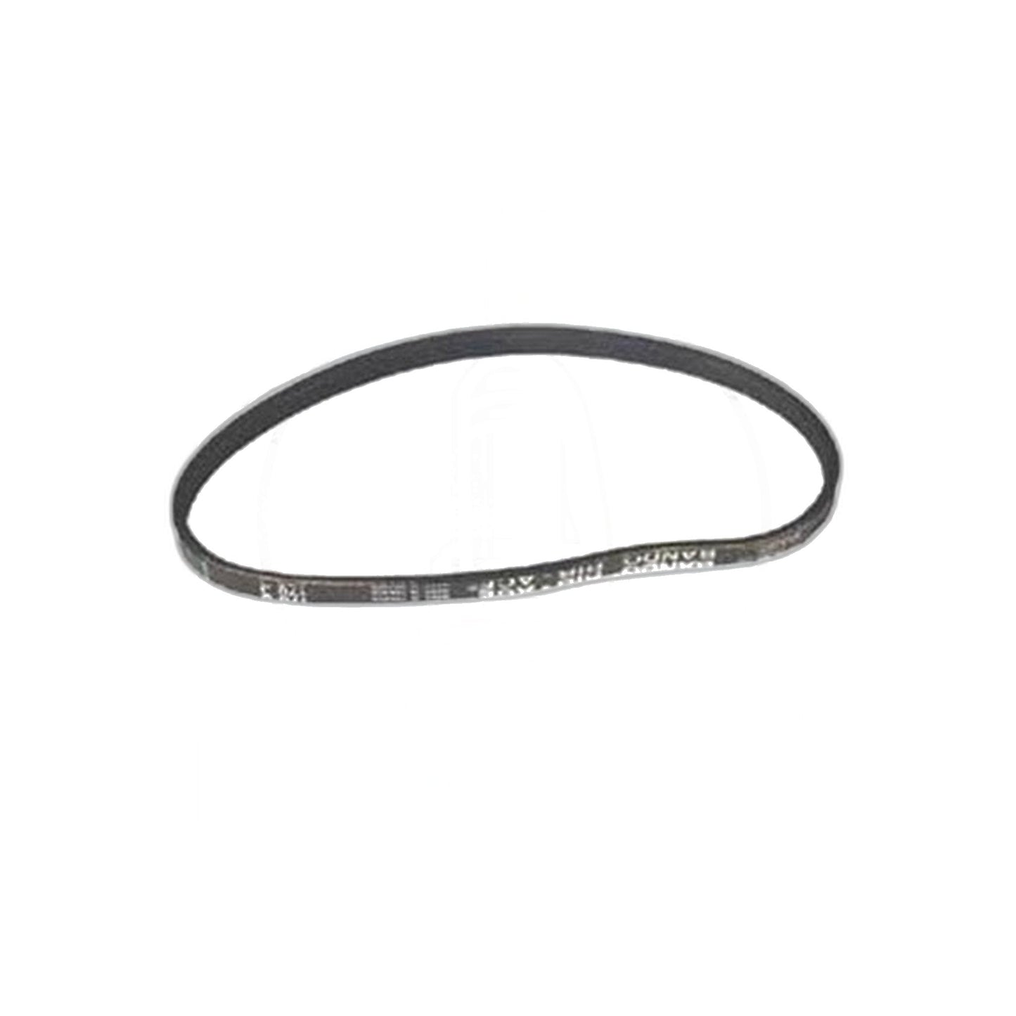 NSS Stallion Poly V Belt Replacement Drive Belt