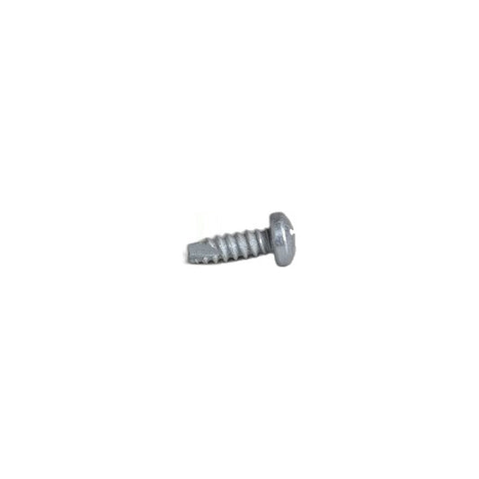 Kirby Heritage II Brush Roll Sensor Screw