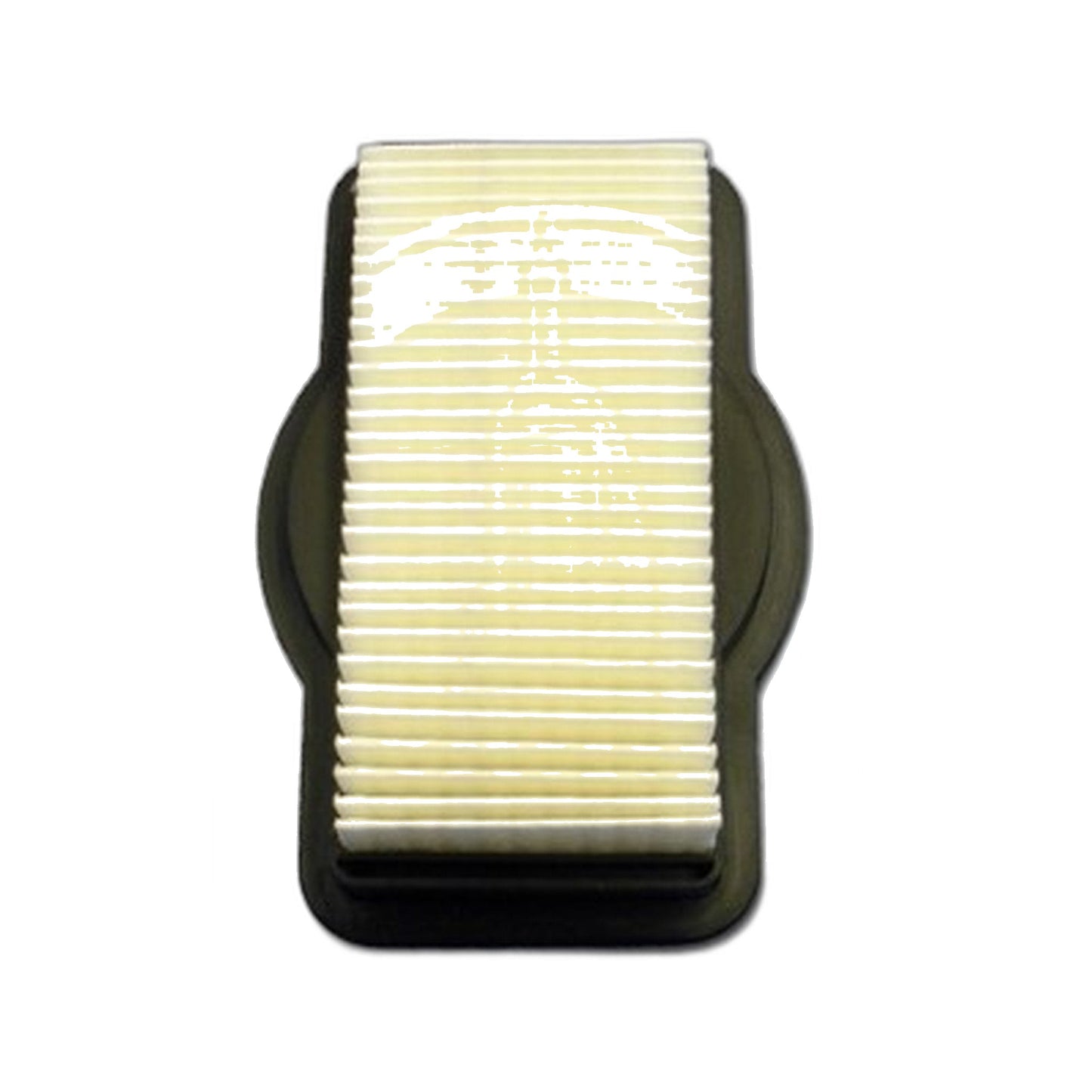 Royal F19 Replacement Filter for Royal & Dirt Devil Vacuums