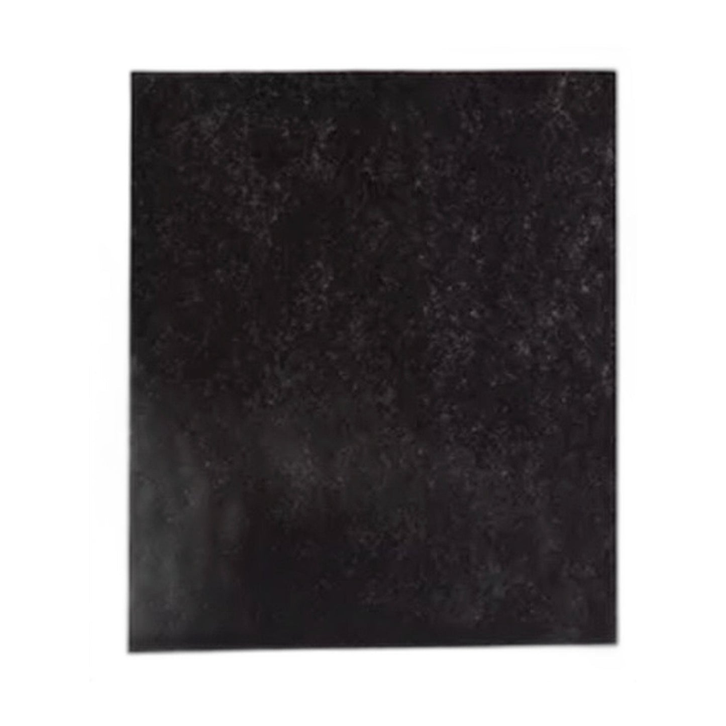 Eureka Electrolux EL490/EL491 Air Cleaner Carbon Filter
