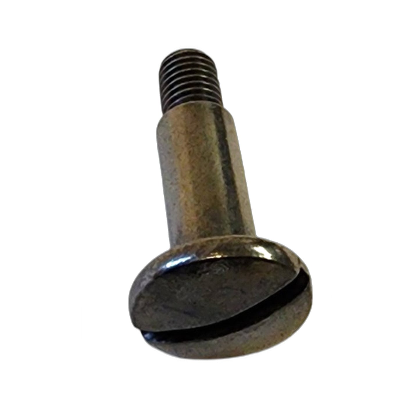Clean Obsessed CO101 / Perfect DM101 Carry Handle Screw (Sold Each)